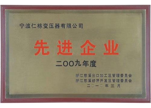 2009年度慈溪市先进企业